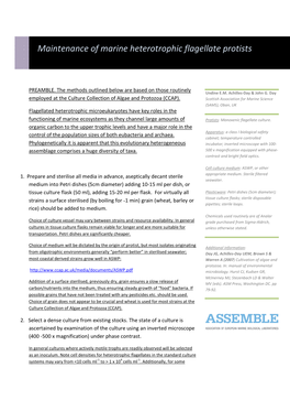 Maintenance of Marine Heterotrophic Flagellate Protists