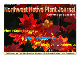 Vine Maple Leaves P8 Wild Hollyhocks P15 Birds Vs. Windows