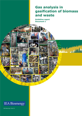 Gas Analysis in Gasification of Biomass and Waste