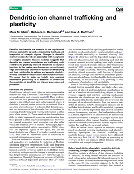 Dendritic Ion Channel Trafficking and Plasticity