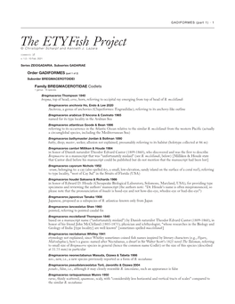 The Etyfish Project © Christopher Scharpf and Kenneth J