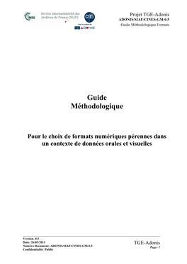 Guide Méthodologique Formats