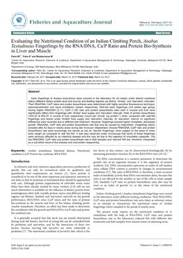 Evaluating the Nutritional Condition of an Indian Climbing Perch, Anabas