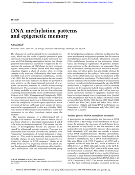 DNA Methylation Patterns and Epigenetic Memory