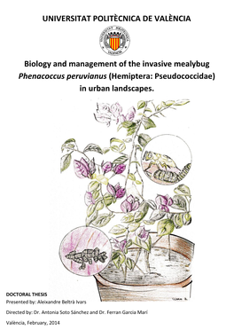 Biology and Management of the Invasive Mealybug Phenacoccus Peruvianus (Hemiptera: Pseudococcidae) in Urban Landscapes