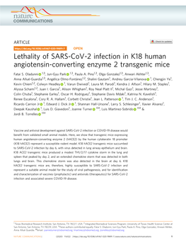 Lethality of SARS-Cov-2 Infection in K18 Human Angiotensin-Converting Enzyme 2 Transgenic Mice