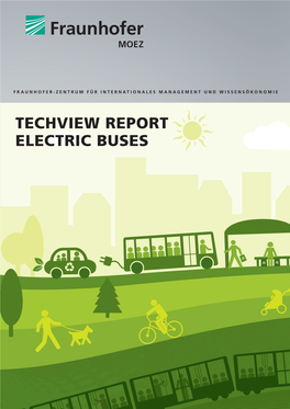 Techview Report Electric Buses