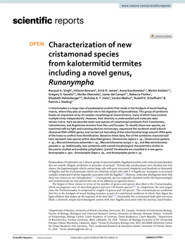 Characterization of New Cristamonad Species from Kalotermitid Termites Including a Novel Genus, Runanympha Racquel A