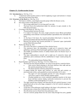 Chapter 13 - Cardiovascular System