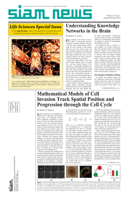 Mathematical Models of Cell Invasion Track Spatial Position And