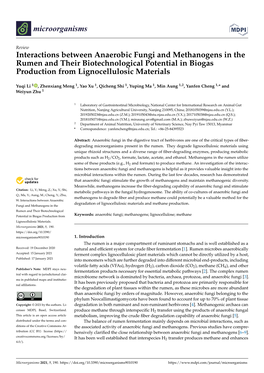 Interactions Between Anaerobic Fungi and Methanogens in the Rumen and Their Biotechnological Potential in Biogas Production from Lignocellulosic Materials