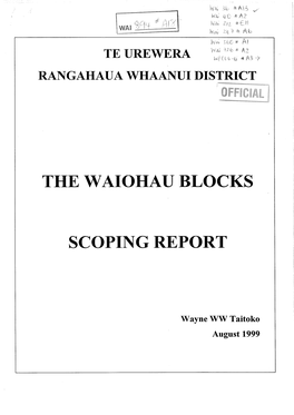 The W Aiohau Blocks Scoping Report