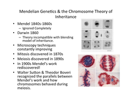 Mendelian Gene[Cs & the Chromosome Theory of Inheritance