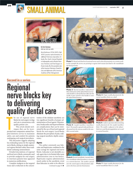 Regional Nerve Blocks Key to Delivering Quality Dental Care