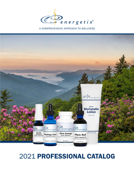 2021 PROFESSIONAL CATALOG About Energetix