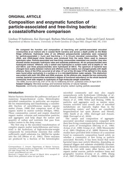 Composition and Enzymatic Function of Particle-Associated and Free-Living Bacteria: a Coastal/Offshore Comparison