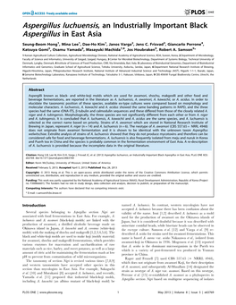 Aspergillus Luchuensis, an Industrially Important Black Aspergillus in East Asia