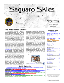 Saguaro Skiesskies