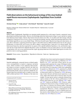 Field Observations on the Behavioural Ecology of the Stout Bobtail Squid Rossia Macrosoma (Cephalopoda: Sepiolidae) from Scottish Waters