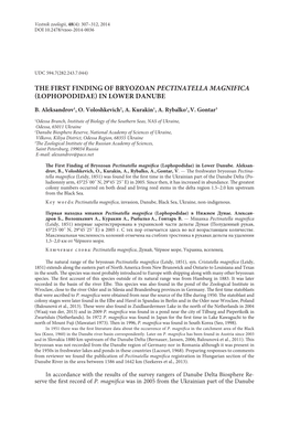 The First Finding of Bryozoan Pectinatella Magnifica (Lophopodidae) in Lower Danube