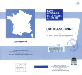 Carcassonne À 1/50 000