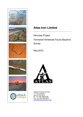 Atlas Iron Limited