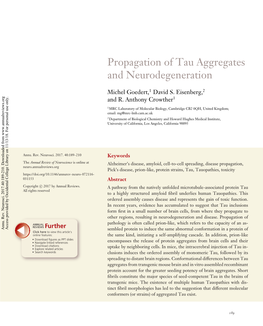 Propagation of Tau Aggregates and Neurodegeneration