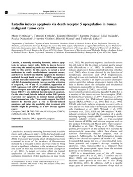 Luteolin Induces Apoptosis Via Death Receptor 5 Upregulation in Human Malignant Tumor Cells