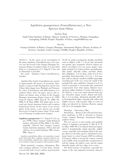 Aspidistra Guangxiensis (Convallariaceae), a New Species from China