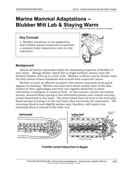 Blubber Mitt Lab & Staying Warm