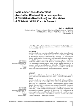 A New Species of Neobisium (Neobisiidae) and the Status of Obisium Rathkii Koch & Berendt