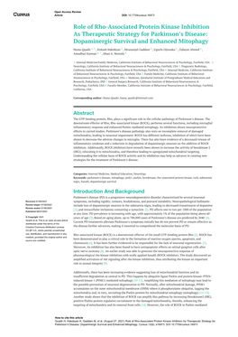 Role of Rho-Associated Protein Kinase Inhibition As Therapeutic Strategy for Parkinson's Disease: Dopaminergic Survival and En