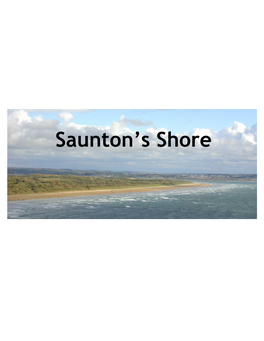 Saunton’S Shore Introduction