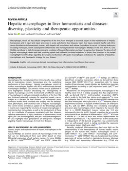 Hepatic Macrophages in Liver Homeostasis and Diseases- Diversity, Plasticity and Therapeutic Opportunities