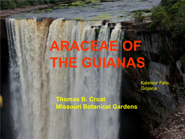 Araceae of the Guianas