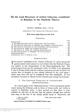 On the Leaf Structure of Certain Liliaceae, Considered in Relation to the Phyllode Theory