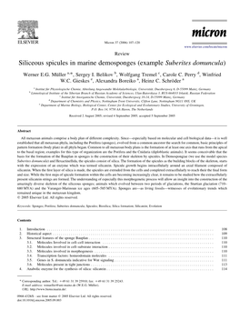 Siliceous Spicules in Marine Demosponges (Example Suberites Domuncula)