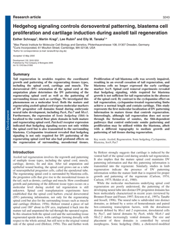 Hedgehog Signaling Controls Dorsoventral Patterning, Blastema Cell Proliferation and Cartilage Induction During Axolotl Tail