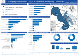 Joint UN IDP Protection Monitoring