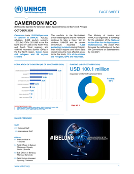 CAMEROON MCO USD 100.1 Million