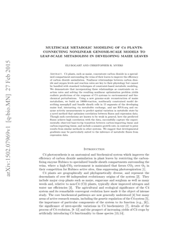 Multiscale Metabolic Modeling of C4 Plants: Connecting Nonlinear Genome-Scale Models to Leaf-Scale Metabolism in Developing Maize Leaves