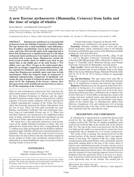 A New Eocene Archaeocete (Mammalia, Cetacea) from India and the Time of Origin of Whales