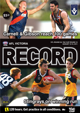 Stingrays on Winning Run Carnell & Gibson Reach 100 Games