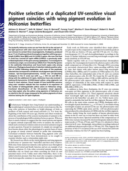 Positive Selection of a Duplicated UV-Sensitive Visual Pigment Coincides with Wing Pigment Evolution in Heliconius Butterﬂies