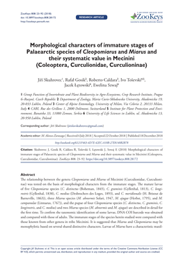 ﻿Morphological Characters of Immature Stages of Palaearctic Species