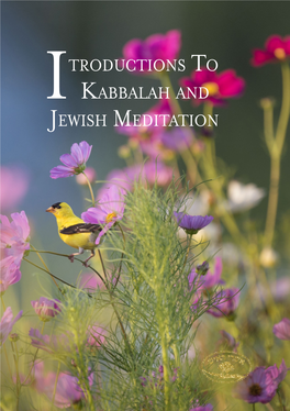 Itroductions to Kabbalah and Jewish Meditation in English