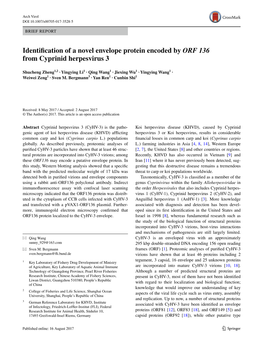 Identification of a Novel Envelope Protein Encoded by ORF 136 From