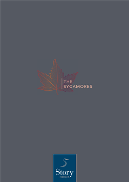 The-Sycamores-Brochure-Small.Pdf