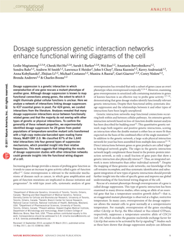 Dosage Suppression Genetic Interaction Networks Enhance