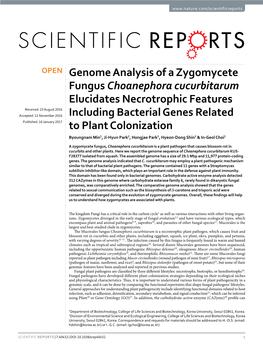 Genome Analysis of a Zygomycete Fungus Choanephora Cucurbitarum